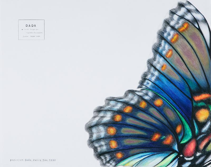 Kali KATSOURI ''Papillon Dada'' (65x51)cm, Coloured pencils on paper 2008
