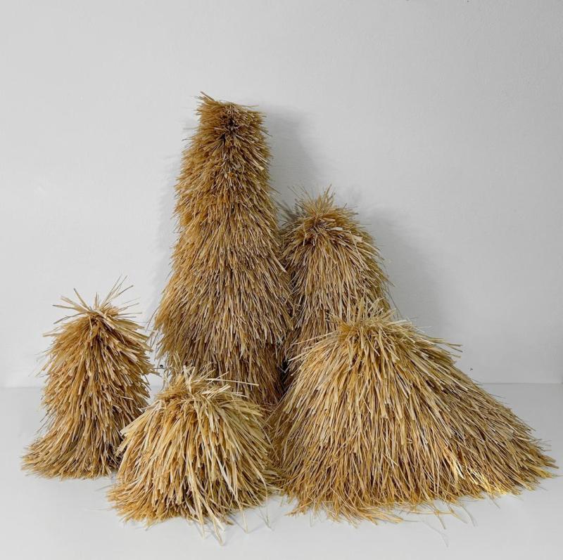 Vasiliki Vasileiou. Caves .Cyperus plant ,variable dimensions installation