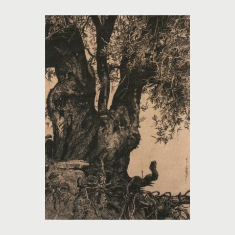 Dimitris Kretsis Old Oil Tree Indian Ink On Colour Paper 40 X 30 Cm 2018